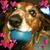 Peggy Spargo's profile image