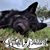 Rhonda Van Emon's profile image