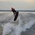 Bob Ehrhart's profile image