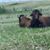 Jim Passmore's profile image