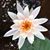 Kelley McElroy O'Hara's profile image