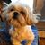 Sylvia Cheatham Green's profile image