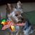 Kathy N Gabby Bradford's profile image