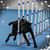Denise J Wedel's profile image