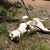 Jessica Rose McGroarty's profile image