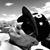 Al Zuniga's profile image