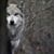 Crystal Renee Rios's profile image