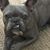 Julie Partridge's profile image