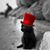 Kelly McQuillan's profile image