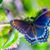 Christine Marro-Bezer's profile image