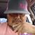 Efrain MartinezJr's profile image