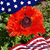 Michelle Rae Dietrich Brown's profile image