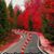 Mithlesh Kumar's profile image