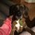 Faith Basolo's profile image