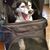 Joann Santamaria's profile image
