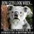 Debbie Ellis Travis's profile image