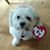 Kelly Brooks-Wesseler's profile image