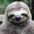 Nelson Lamb's profile image