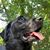 Janis Blanton's profile image