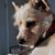 Janet Kannenberg's profile image