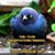 Nancy Maxwell Stauffer's profile image
