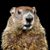 Gerry Joseph's profile image