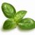 PinkBasil CT's profile image