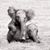Juliette Curless's profile image