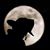 Thomas Suchora's profile image