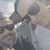 Debra Acevedo Suggs's profile image