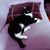 Tracy Arria Currie's profile image