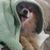 Michael Greenwood's profile image