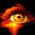 Lori Turner's profile image