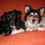 Lew Beitz's profile image