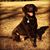 Michael R. Rethinger's profile image