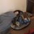 Tricia Thomas's profile image