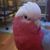 Tammy Channell's profile image
