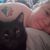Janae Sais Quoi Smith's profile image