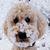 Julie Sunset Kaartinen's profile image