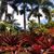 Jim Lisa Roberts's profile image