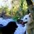 Bobbi Gresov's profile image
