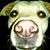 Salena Rothenstine's profile image
