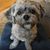 Karen M. Jacobs's profile image