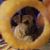 Jay Boogey's profile image