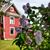 Marsha Ecker-Heiden's profile image