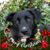 Noelle Danko Evans's profile image