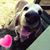 Jennifer Oakley's profile image