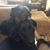 Tom Fritschi's profile image
