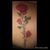 Mariana Contreras's profile image