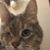 Dawn Millz's profile image